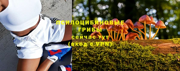 ALPHA PVP Вяземский