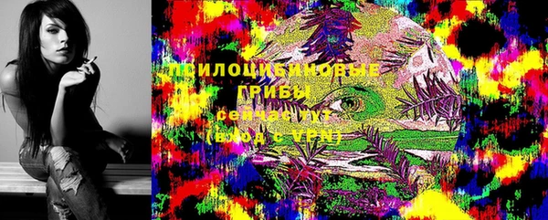 ALPHA PVP Вяземский